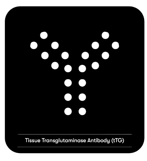 Specific Trigger Panels – Tissue Transglutaminase Antibody (tTG)